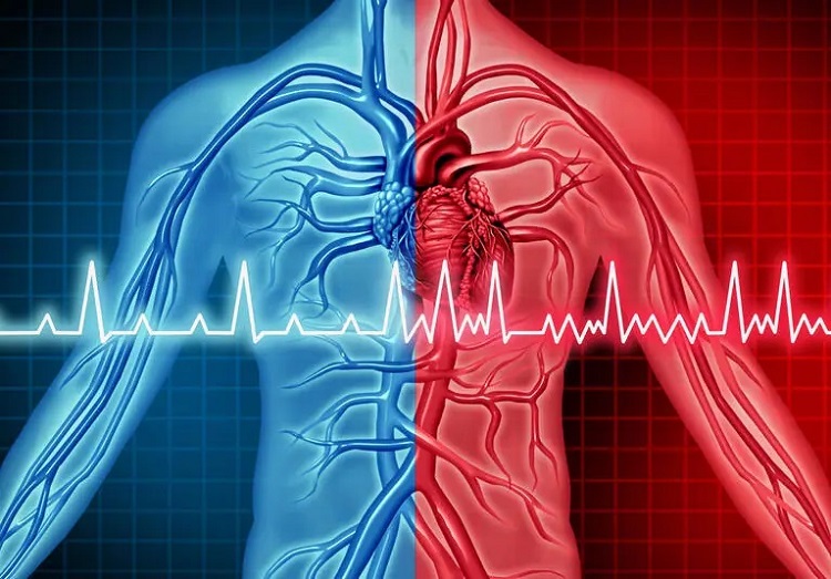 heart-ekg-767x535