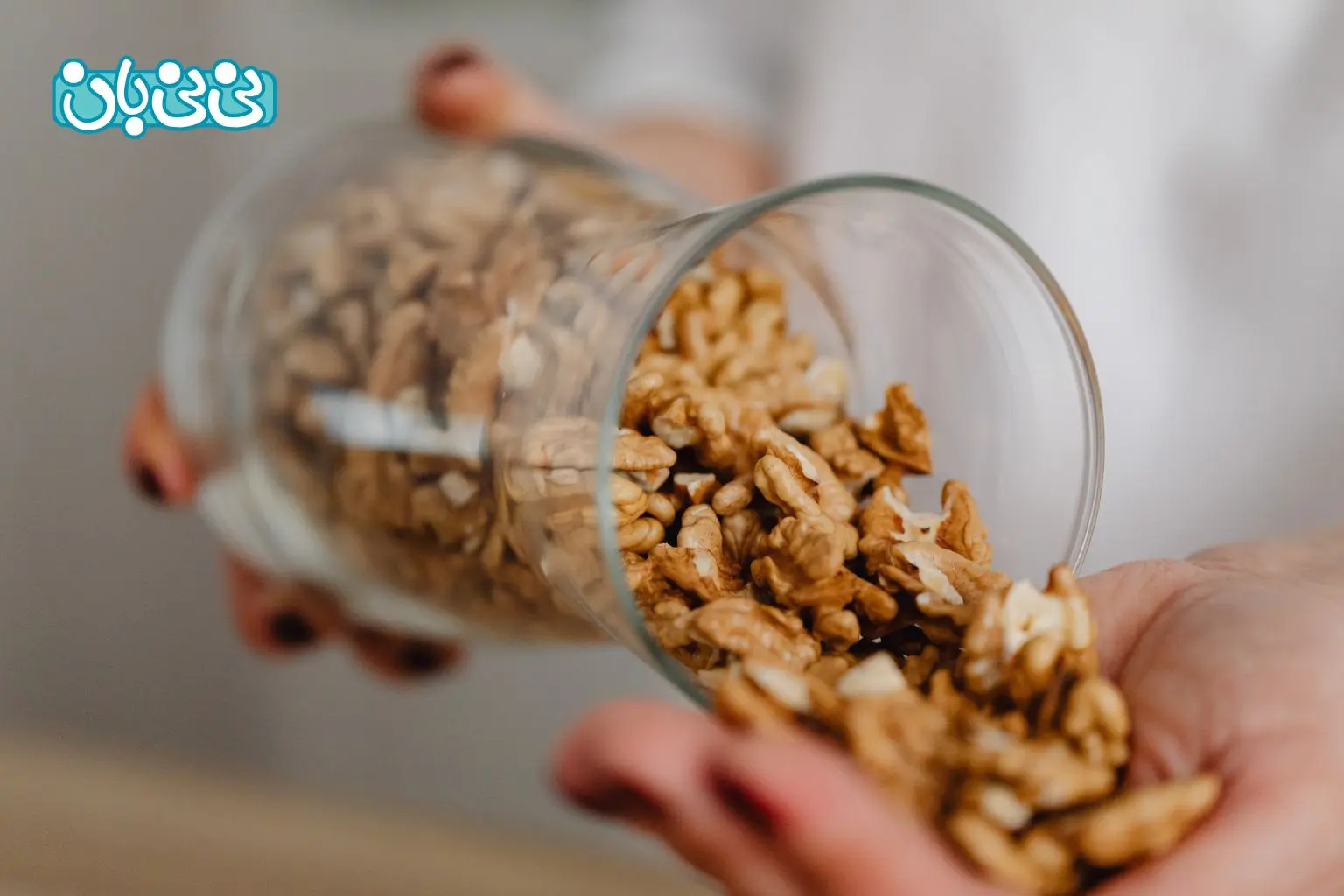 چگونه گردو را در رژیم غذایی دوران بارداری بگنجانیم؟