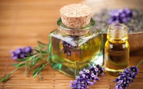 روغن بنفشه؛ طلای بنفش طبیعت برای سلامتی شما

