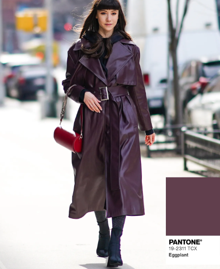 2024_fall_color_trends_pantone_eggplant_jpg_1360×1600_10_09_2024