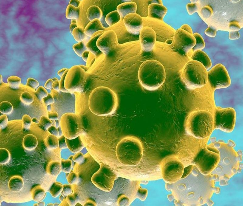 HERO_coronavirus