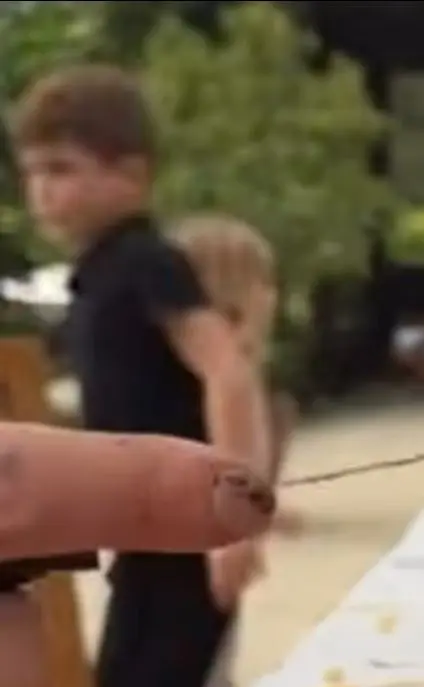 فرزندان مگان و هری