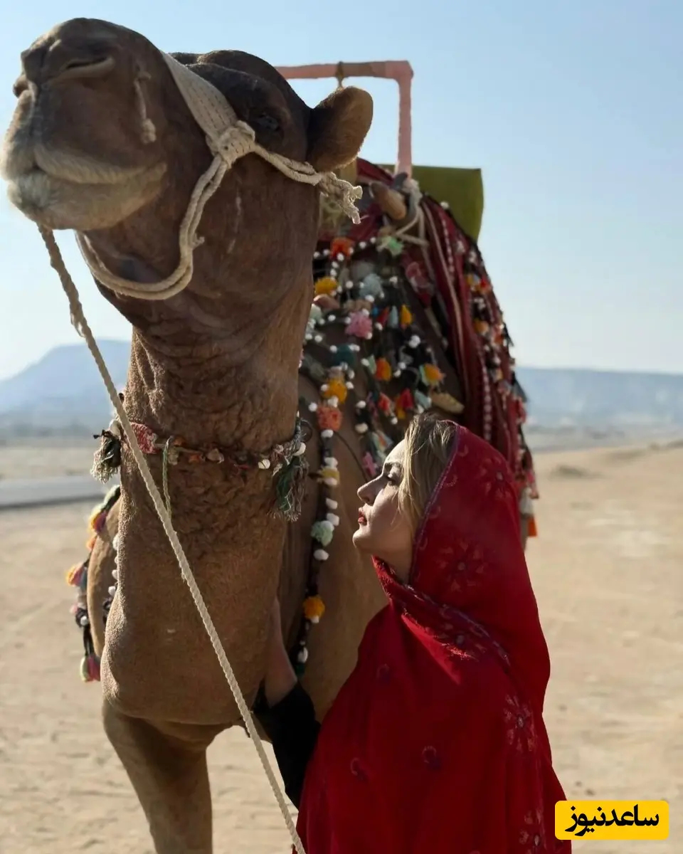 نیلوفر پارسا