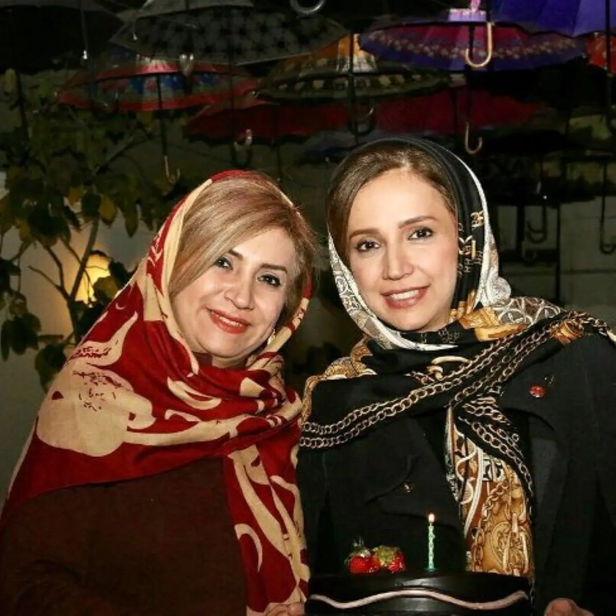  شبنم قلی‌خانی 