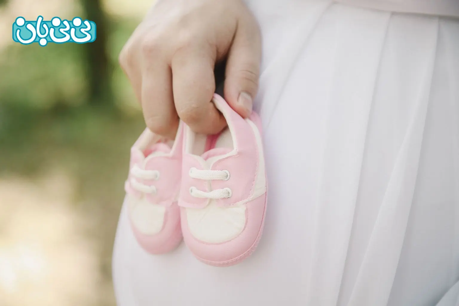 زمان تشکیل اندام تناسلی جنین دختر (1)