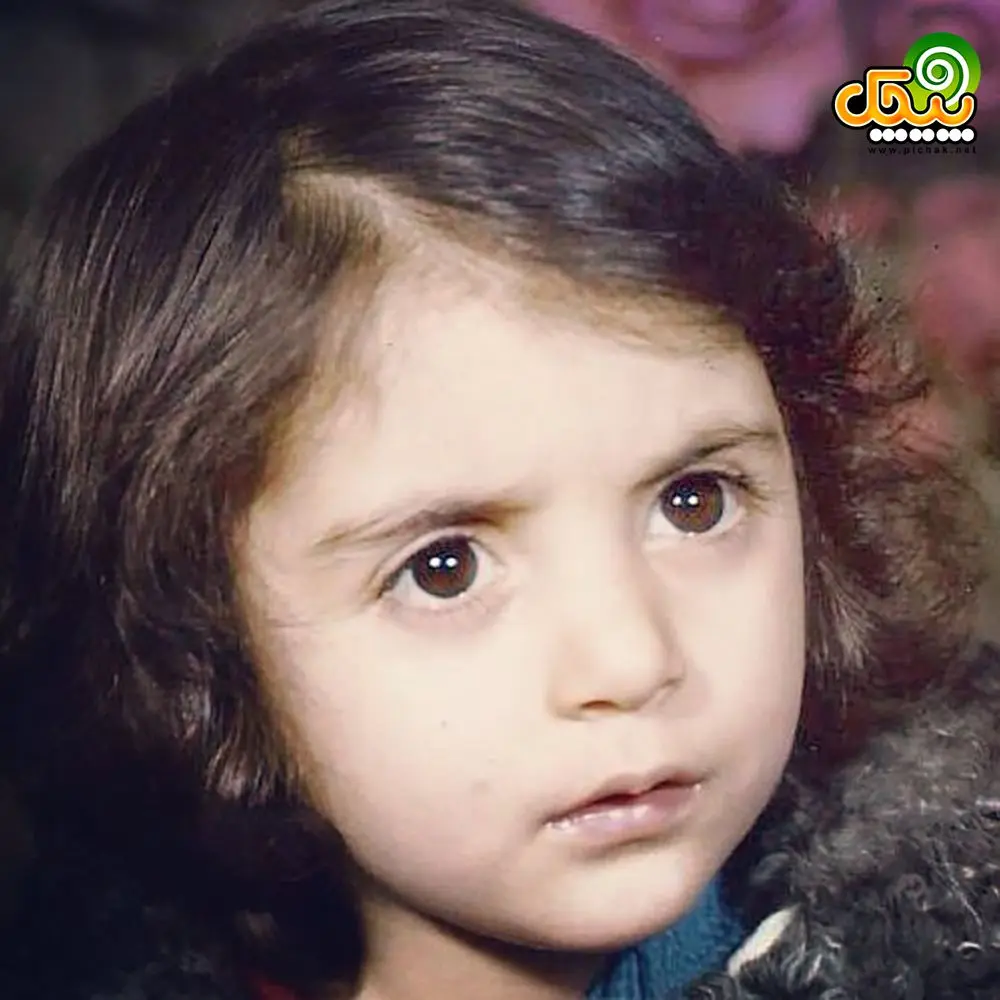 رویا میرعلمی