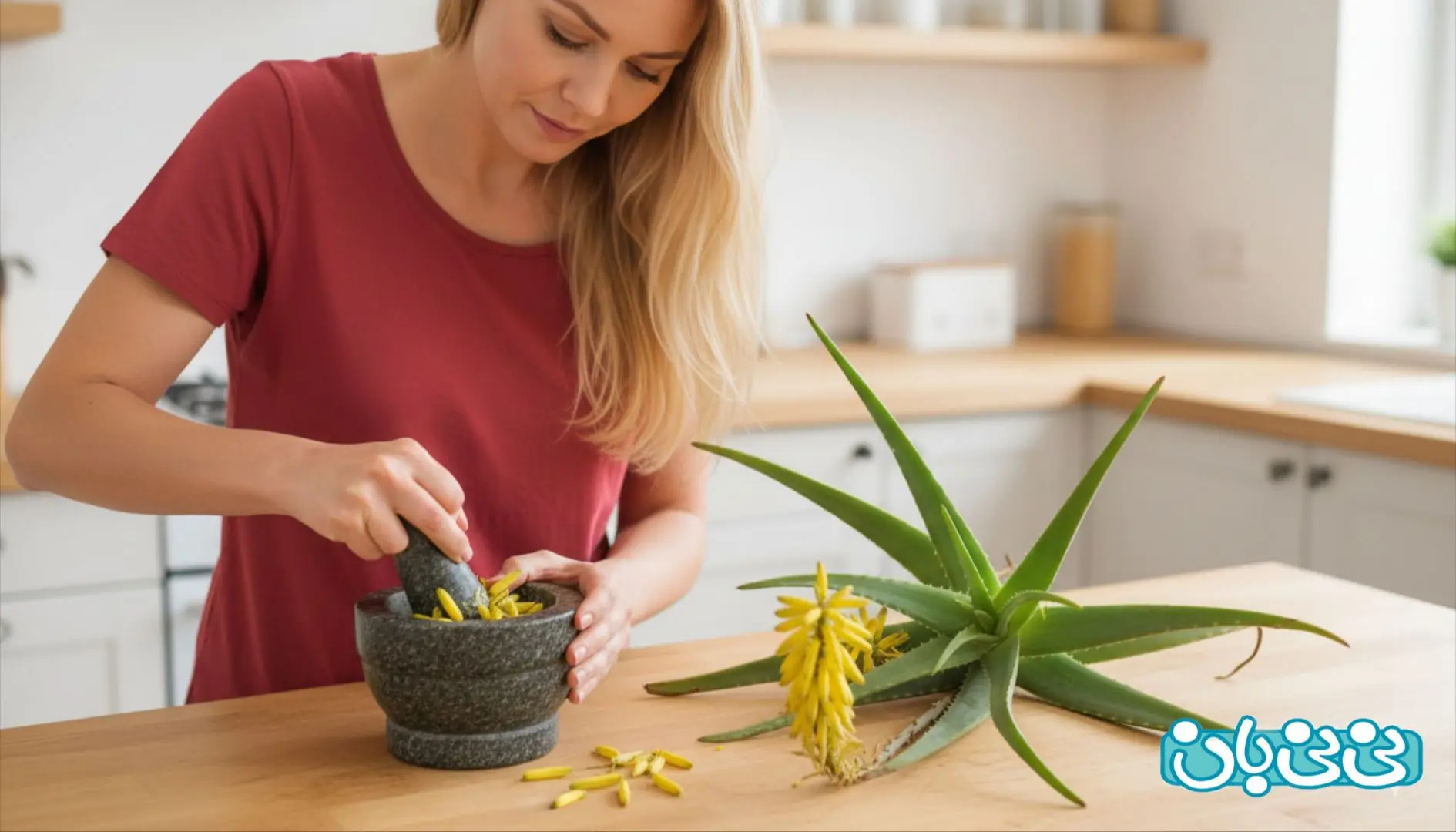 تهیه صبر زرد