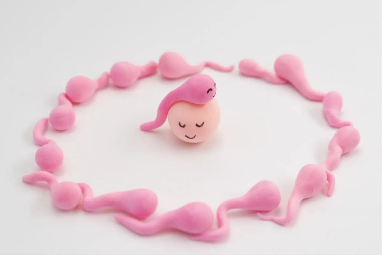 IMG_20260419_135801_938