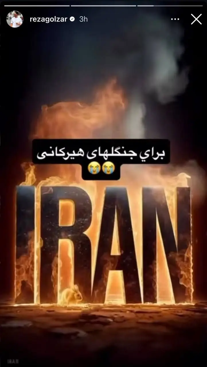 محمدرضا گلزار