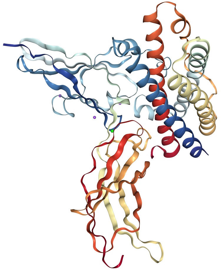 PRL-protein-structure