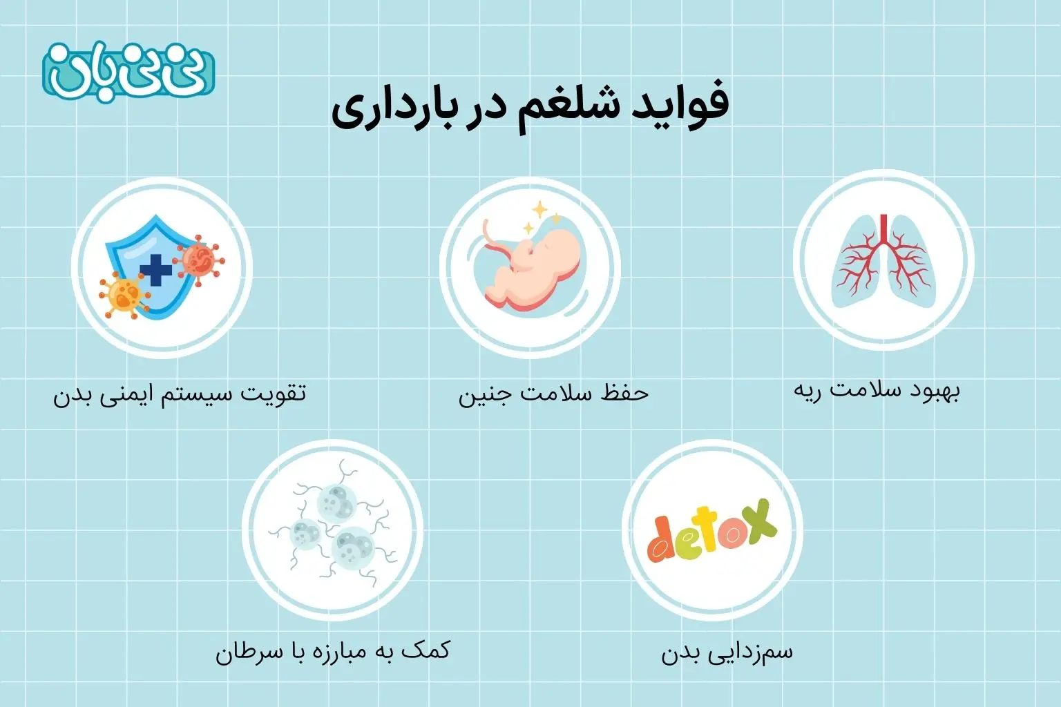 فواید شلغم در بارداری