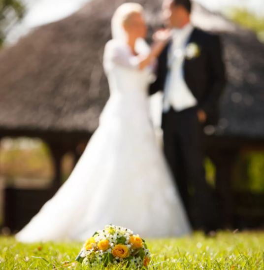 iStock_000062579828_Small_0_jpg_1200×1200_10_13_2024_04_16_PM
