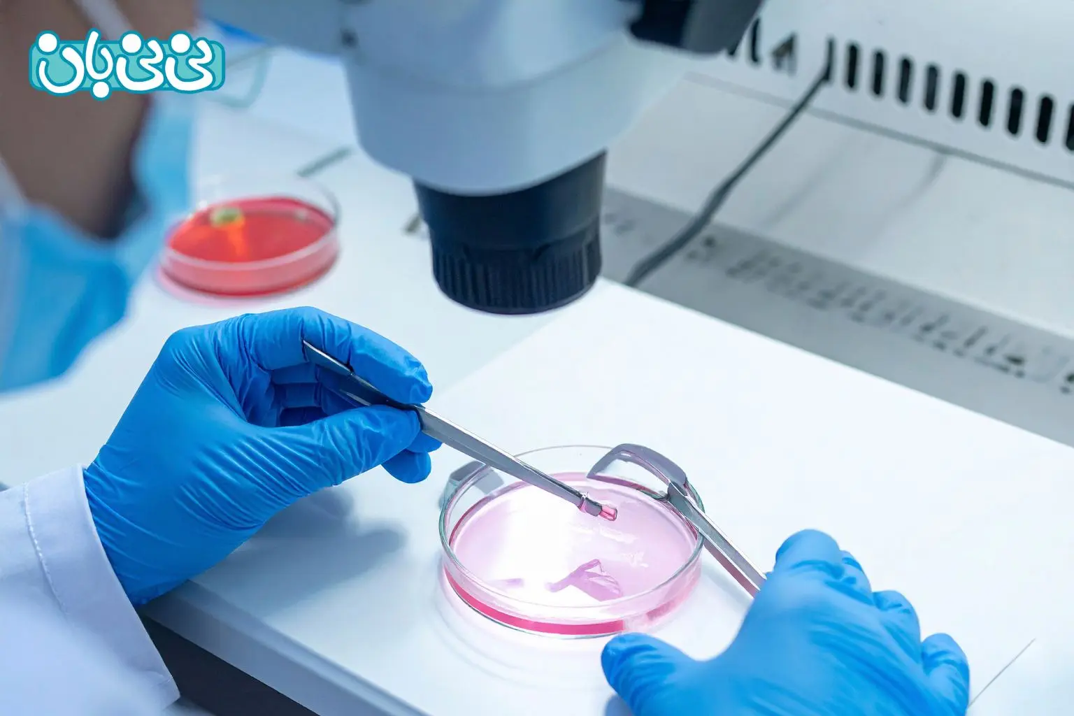 لقاح آزمایشگاهی چیست؟