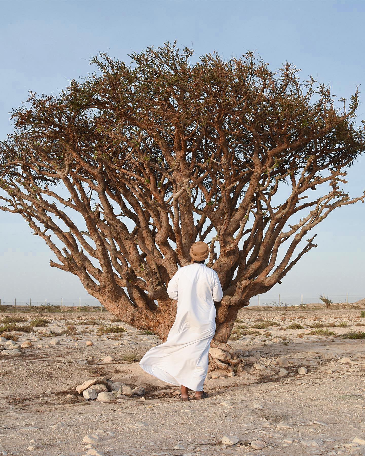 کندر