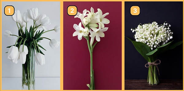 گل سفید مورد علاقه تو انتخاب کن، تا بگم شخصیتت چجوریه؟