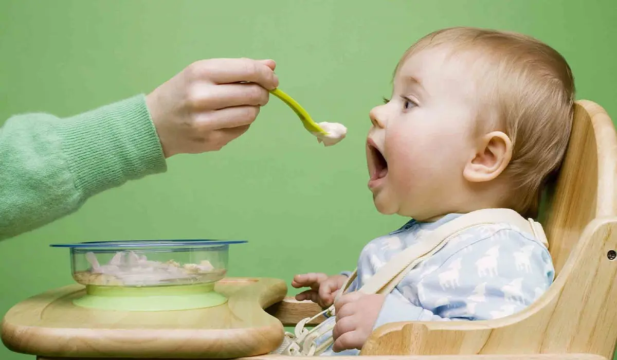 پوره مرغ برای کودکان