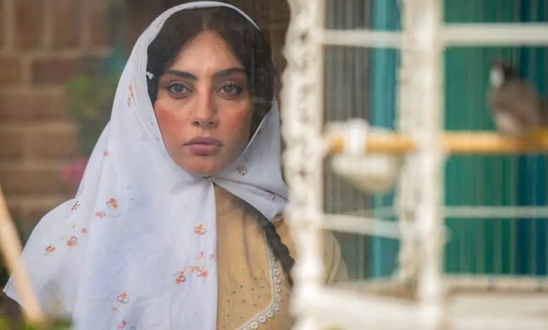 ترلان پروانه