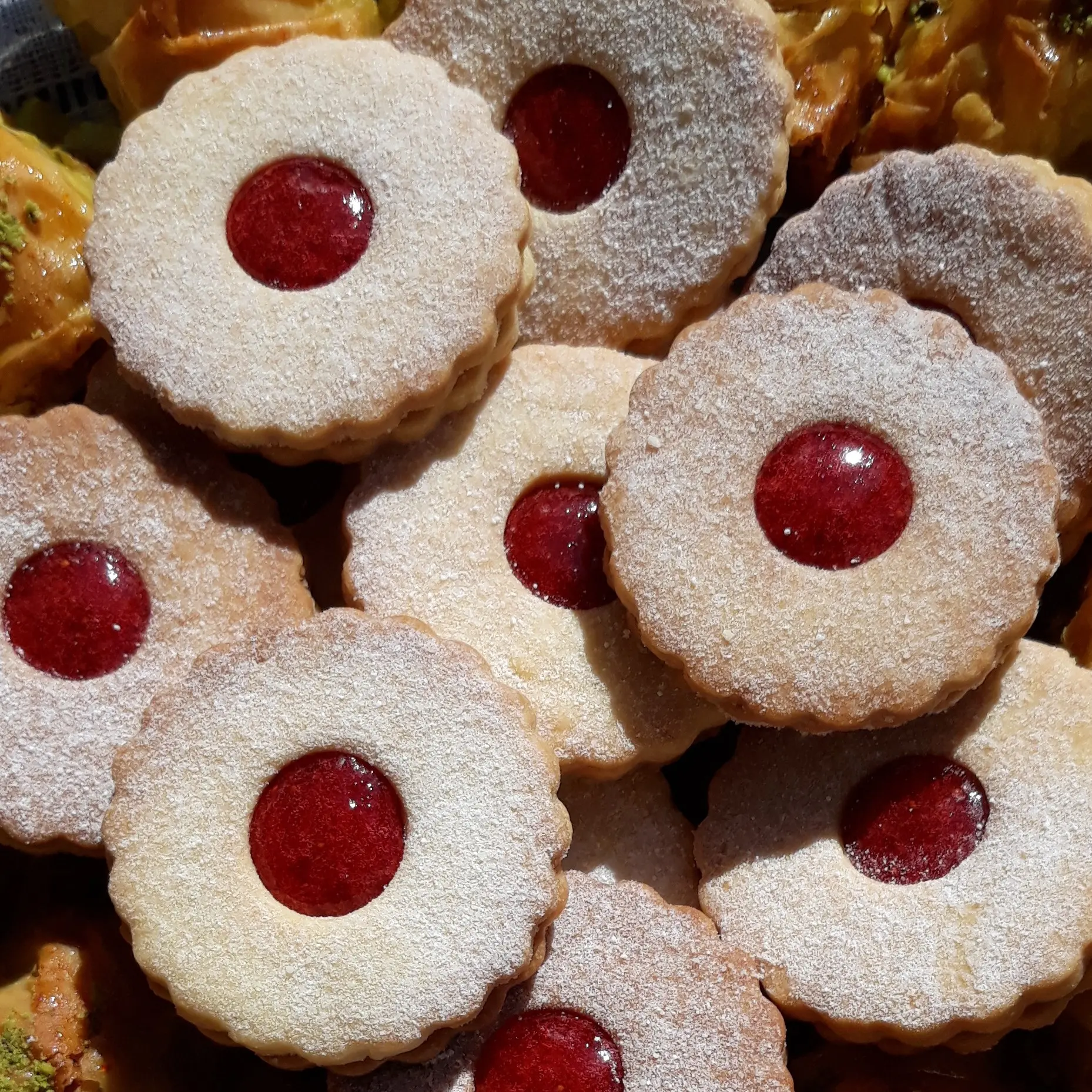 Z9cnbKpsusYxO3hDbIxIchn4T8X8e9u5h98Qi7zwrXvR50VHWV