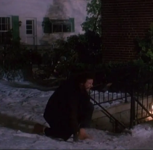 تنها در خانه