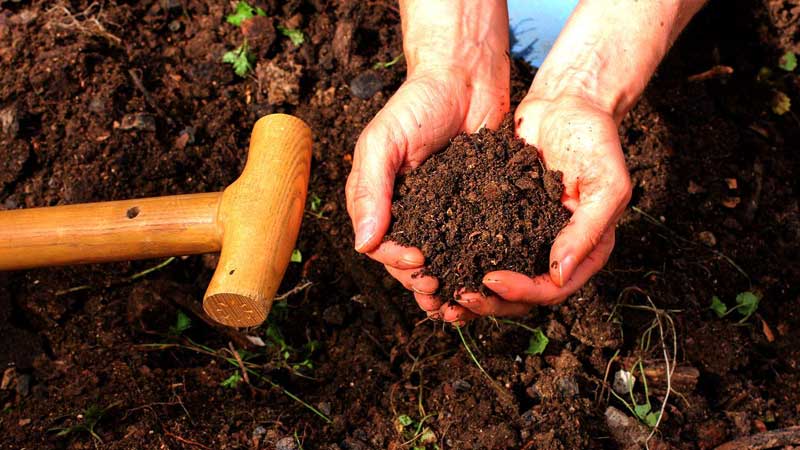 ساخت خاک کمپوست خانگی: راهنمای گام به گام
