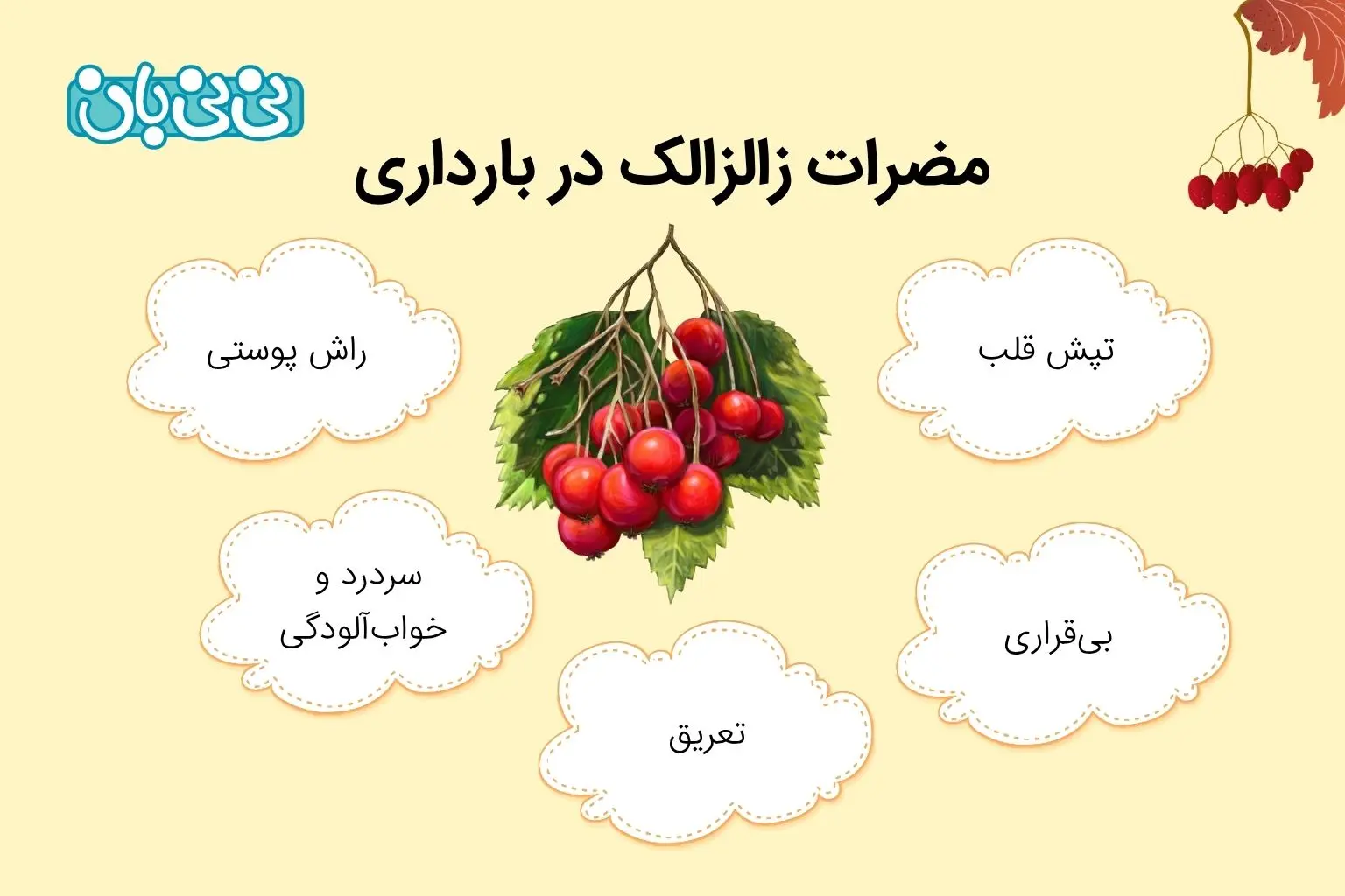 مضرات زالزالک در بارداری