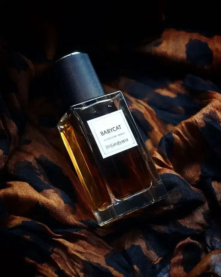 1d51bab7-59a2-4f48-8492-734e4e0c3337