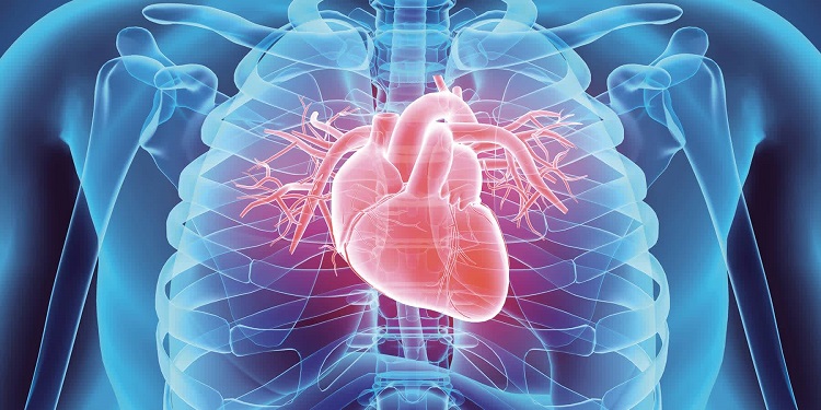 8_Main_Types_of_Heart_Disease