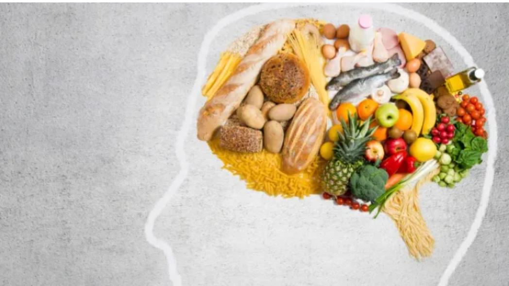 غذای ارگانیک 
