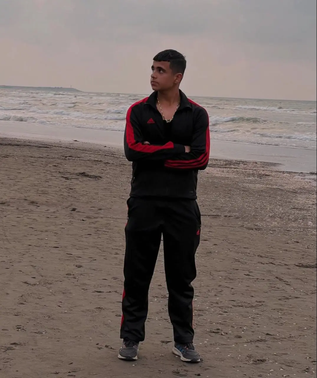 هانی نوروزی 