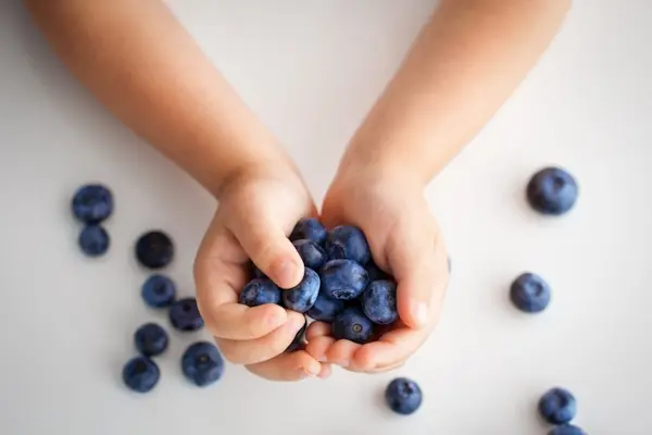Foods-Boost-Children-Focus-Intelligence-8