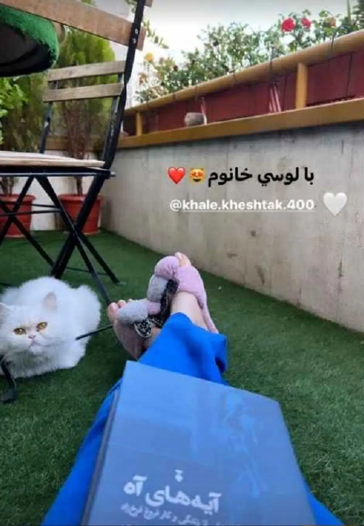 سمیرا حسن پور