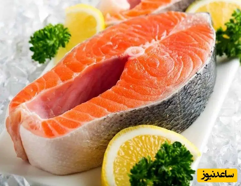 ماهی سالمون