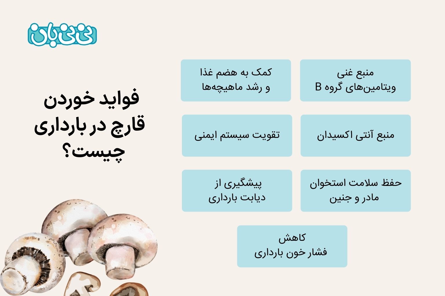 فواید خوردن قارچ در بارداری چیست