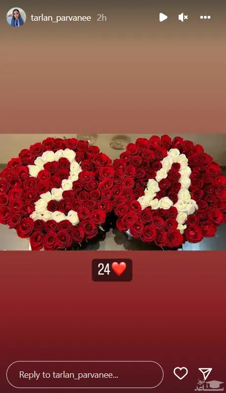 کادوی تولد ترلان پروانه