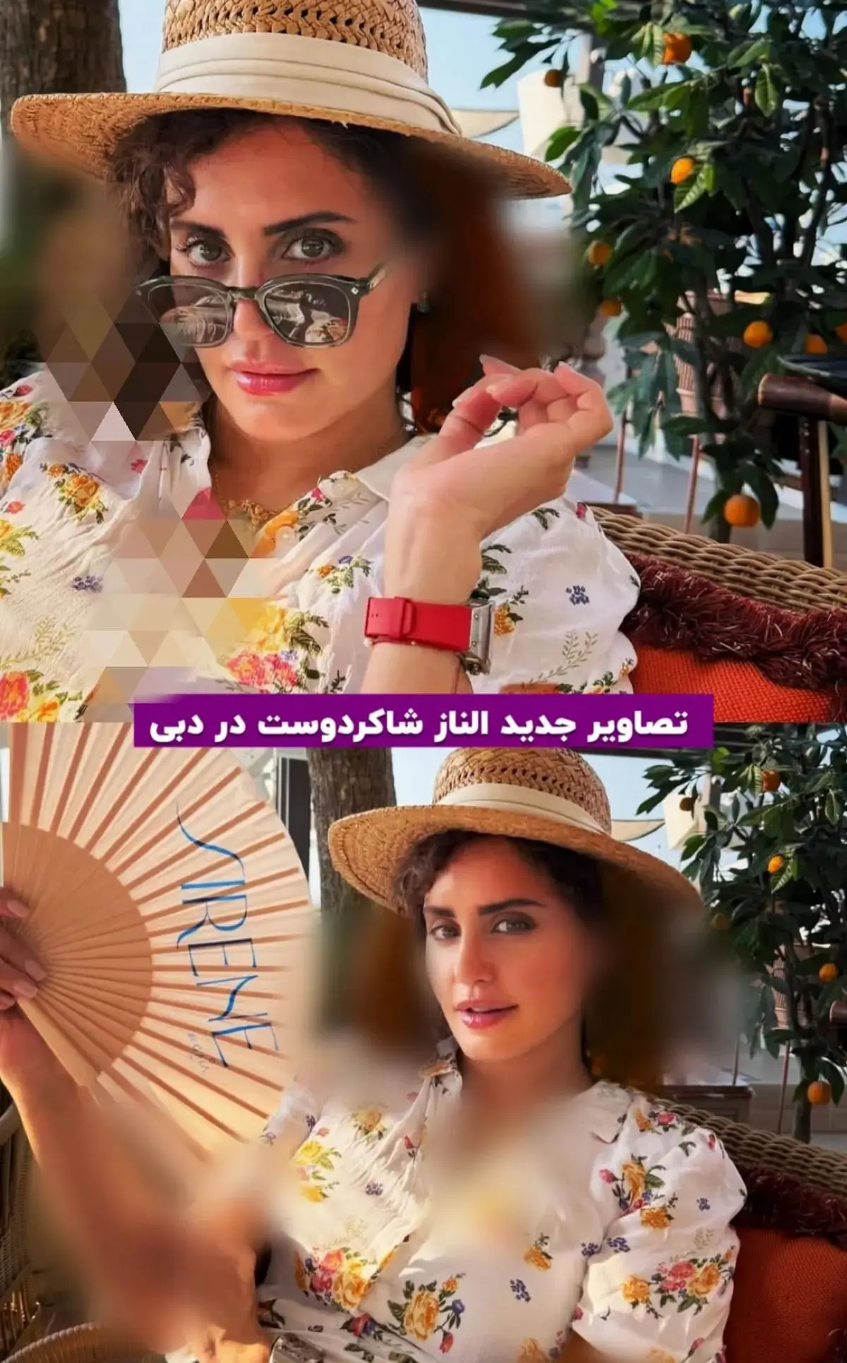 الناز شاکردوست