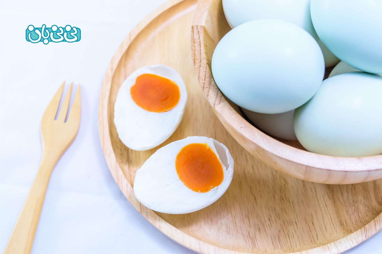 آیا تخم اردک برای بارداری بهتر از تخم مرغ است