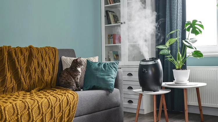 living-room-pet-cat-couch-humidifier-mist-1296x728-header