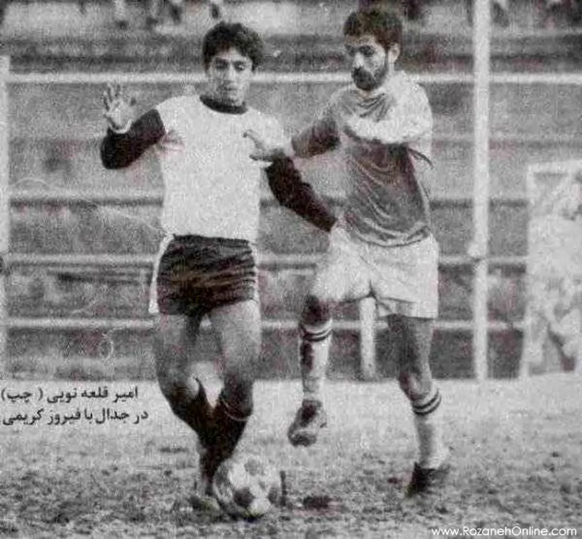 جوانی قلعه نویی