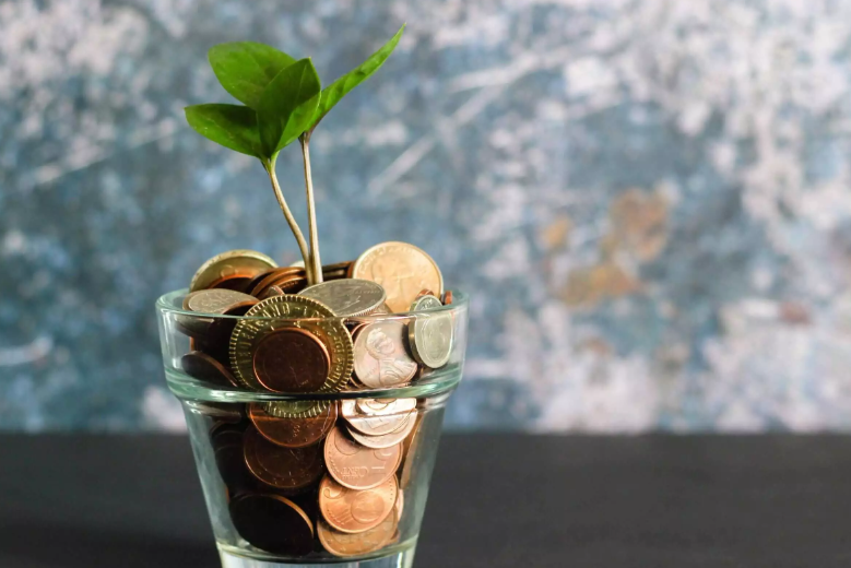 A_guide_on_how_to_save_money_jpg_webp_2560×1707_10_23_2024_05_18