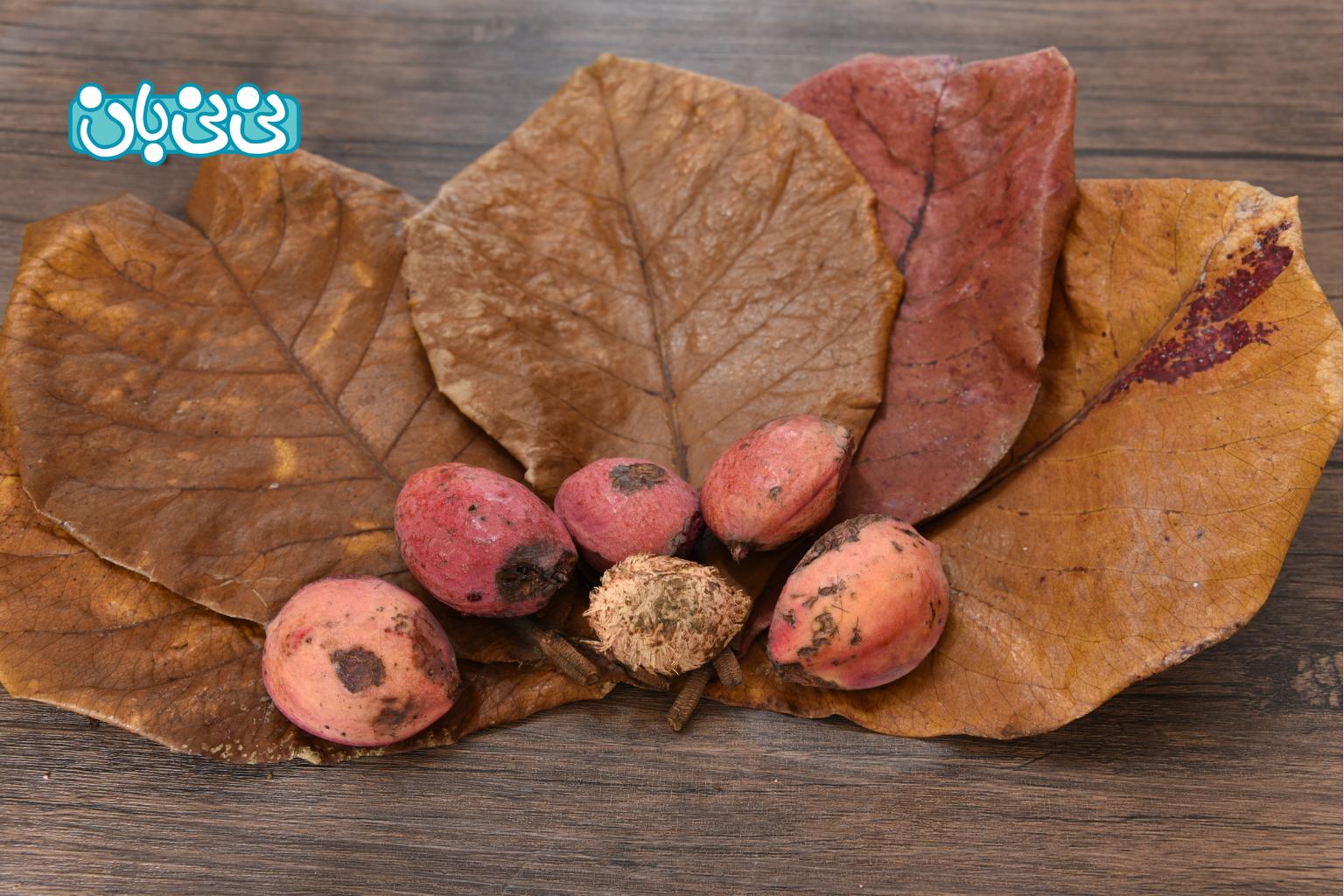 عوارض میوه لوز چیست