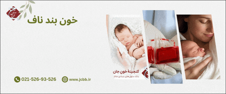 مام ژن - مهر مام - فوتر