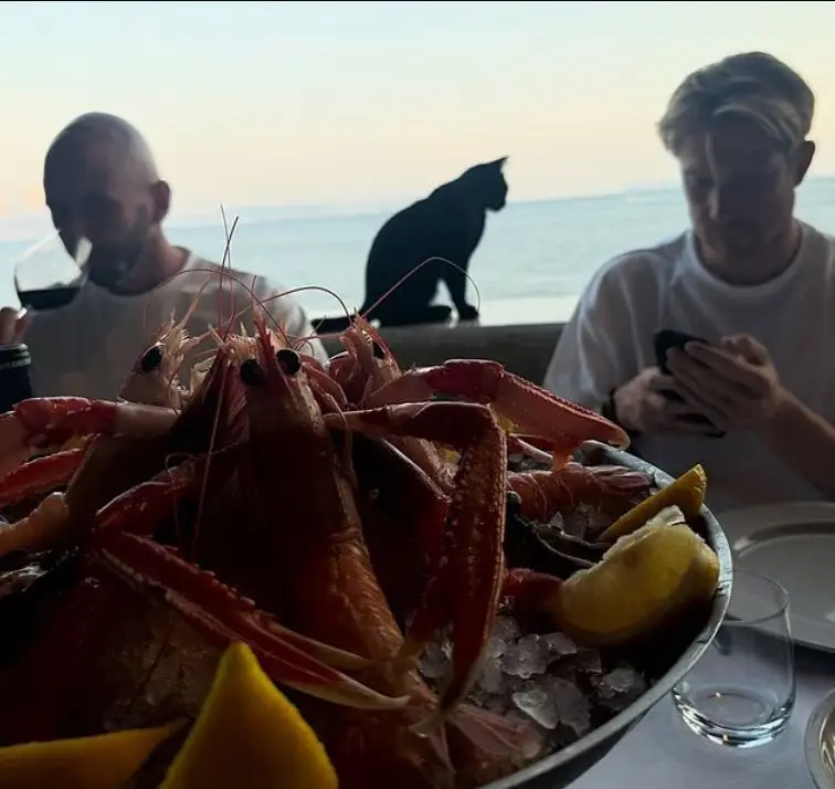 کوین دی بروینه