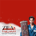 قالیشویی زیبا - شناور
