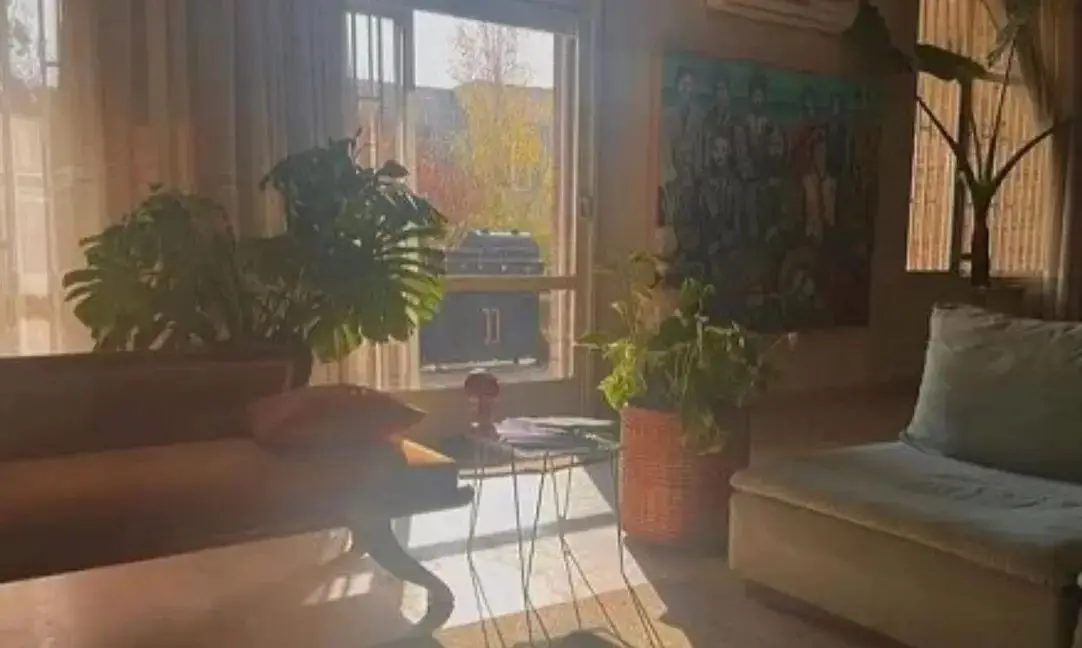 فرشته حسینی