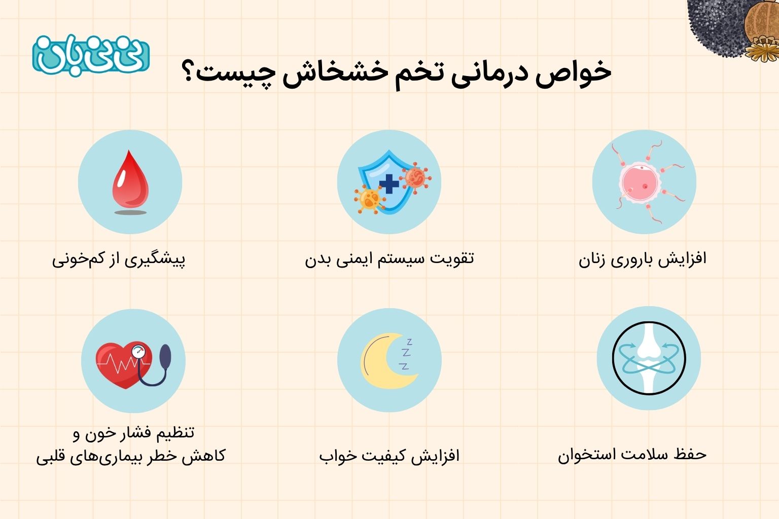 خواص تخم خشخاش چیست؟