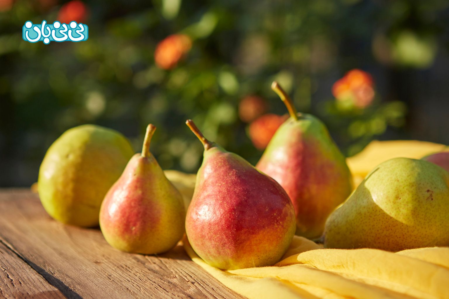 مقدار مجاز مصرف گلابی در بارداری چقدر است؟