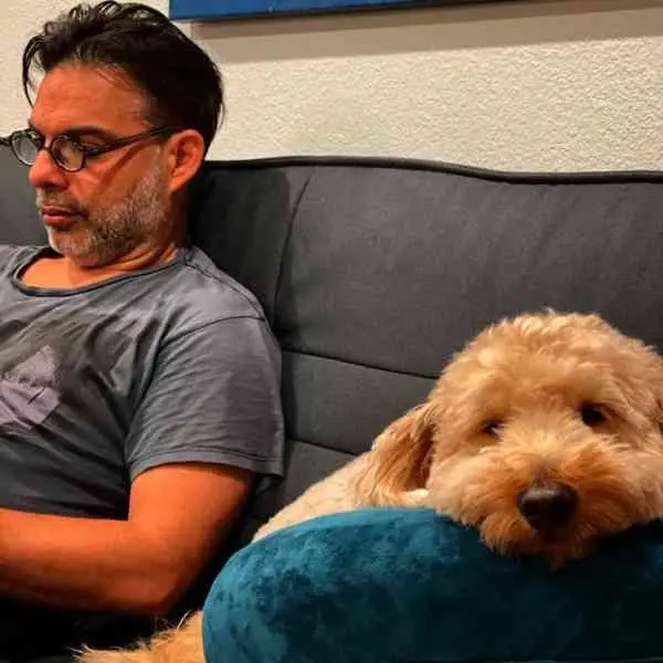 پیمان معادی