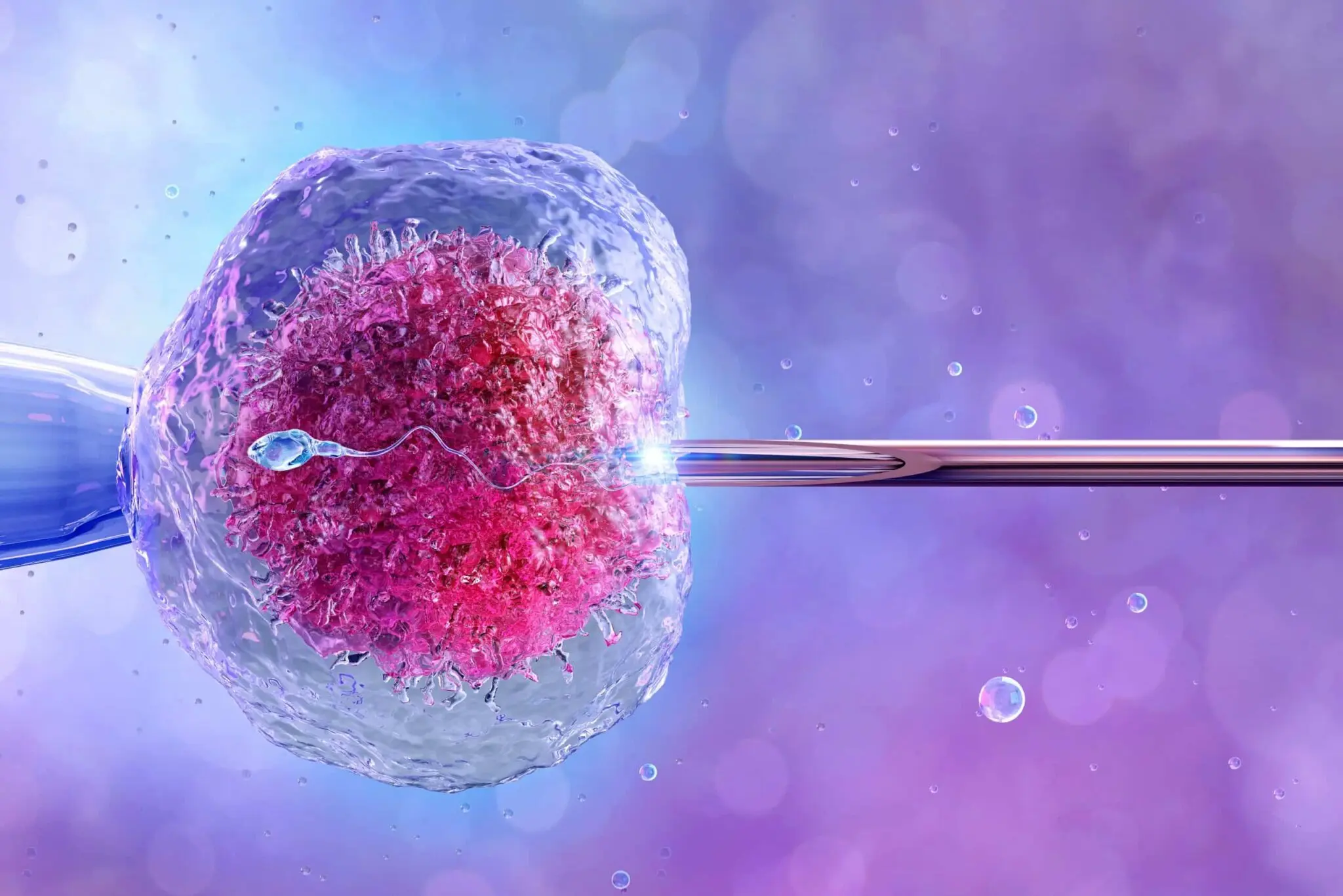 ivf-sperm-fertilising-egg-2048x1366