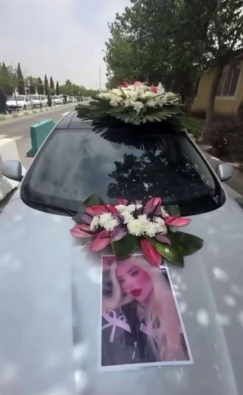 نهال، بلاگر معروف