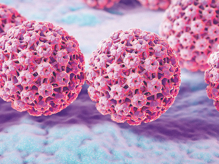 ۱۱ باور غلط و خطرناک درباره HPV یا زگیل تناسلی